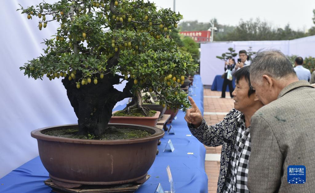 和记网址备用